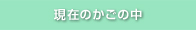 現在のカゴの中